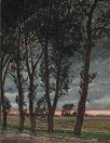 Carl Forup