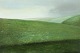 "Efter regn" Olie maleri på lærred i original naturramme. Maleriet er blevet renset af konservator, dog med krakeleringer i himlen.